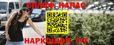 крисы Ангарск