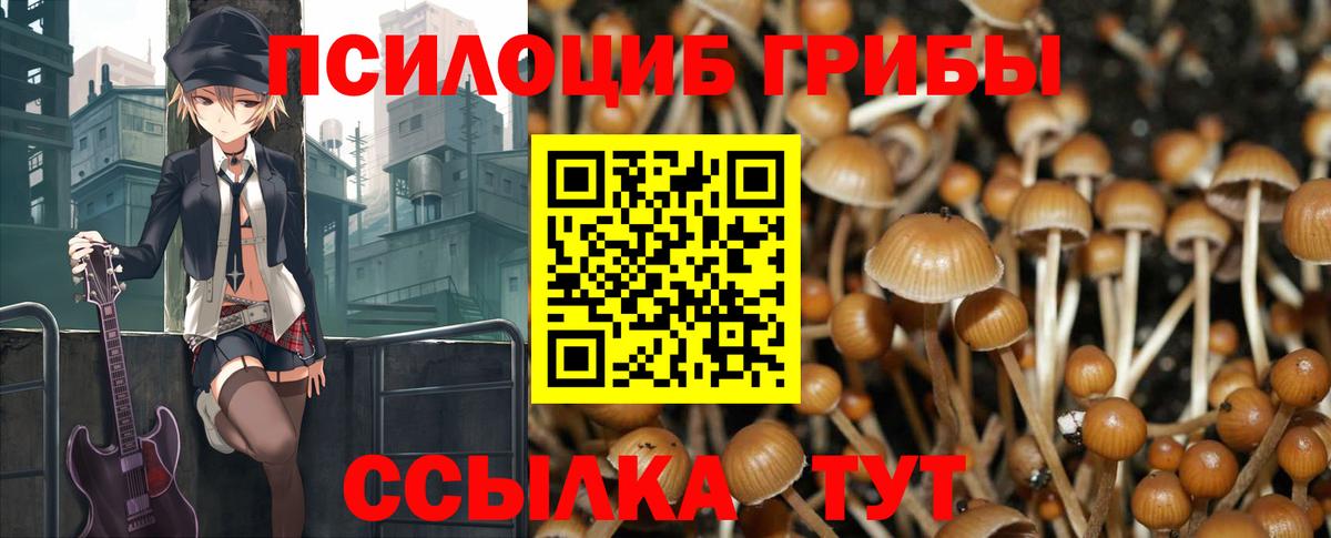Галлюциногенные грибы Psilocybe  Иркутск  Псилоцибиновые грибы Psilocybe 
