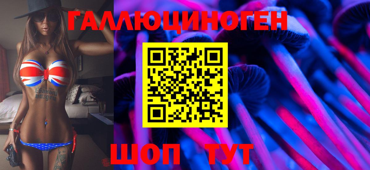 Псилоцибиновые грибы мицелий Иркутск